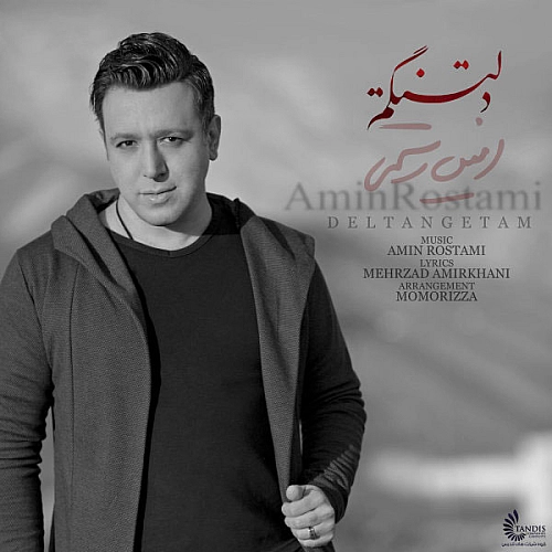 آهنگ جدید امین رستمی به نام دلتنگتم